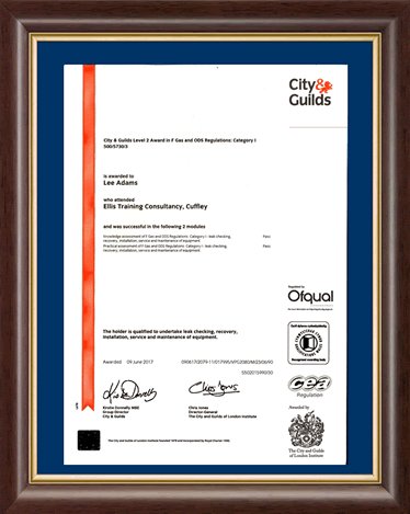 F Gas and ODS Regulations - City-Guilds Certificate
